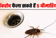 Photo of कॉकरोच से फैलने वाली 5 बीमारियां उड़ा देंगी होश