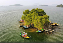 Photo of Jharkhand Tourism: प्रकृति, इंजीनियरिंग और पर्यटन का अद्भुत संगम है झारखंड का मैथन डैम