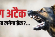 Photo of  कानपुर में लावारिस कुत्तों ने बीबीए छात्रा पर बोला हमला