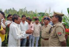 Photo of उत्तर प्रदेश :  नौ दिन से लापता युवक का शव चाचा के खेत में मिला, हत्या का आरोप…