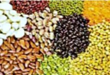 Photo of गोरखपुर में बनेगा प्रदेश का पहला कॉमन फैसिलिटी सेंटर