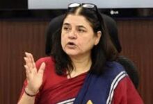 Photo of उत्तराखंड: बीजेपी नेता मेनका गांधी ने वन महकमे की भूमिका पर उठाए सवाल