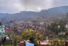 Photo of उत्तराखंड में चटख धूप से कम हुआ ठंड का अहसास