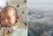 Photo of वायु प्रदूषण बिगाड़ रहा नवजात के दिमागी विकास की रफ्तार
