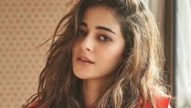 Photo of अनन्या पांडे के हाथ से निकली बड़ी फिल्म