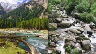 Photo of कुल्लू के पास तीर्थन घाटी है पर्यटकों की खास पसंद