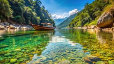 Photo of पूरे साल ट्रेंड में रहे ये 5 भारतीय पर्यटन स्थल, सोशल मीडिया पर खूब दिखीं तस्वीरें