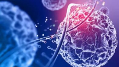 Photo of अब बैक्टीरिया को ‘हैक’ करके होगा कैंसर का इलाज जाने कैसे