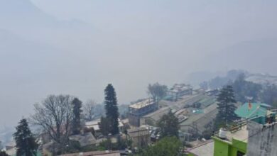 Photo of उत्तराखंड में बारिश ना होने से पहाड़ से मैदान तक सूखी ठंड ने किया परेशान