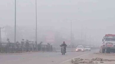Photo of दून समेत छह जिलों में कोहरे का यलो अलर्ट
