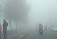 Photo of यूपी मे सर्दी और कोहरे को लेकर अलर्ट जारी