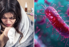 Photo of जानलेवा होता जा रहा है टायफाइड! एंटीबायोटिक दवाएं भी बेअसर