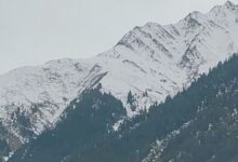 Photo of पहाड़ों में पाला…मैदान में शीतलहर बढ़ा रही ठंड, जानें कबसे हैं बारिश-बर्फबारी के आसार