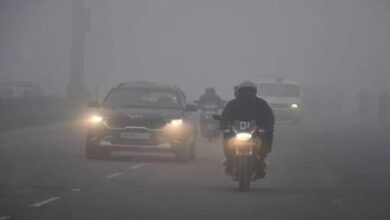 Photo of बरेली, गोरखपुर समेत कई जिलों में घना कोहरा, तापमान में उछाल का अलर्ट!