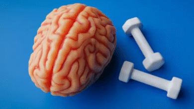 Photo of सिर्फ बॉडी ही नहीं, दिमाग को भी ‘फिट’ रखती है एक्सरसाइज