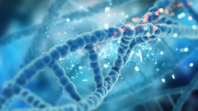 Photo of आप कितना लंबा जिएंगे? जवाब आपकी लाइफस्टाइल में नहीं, आपके DNA में छिपा है