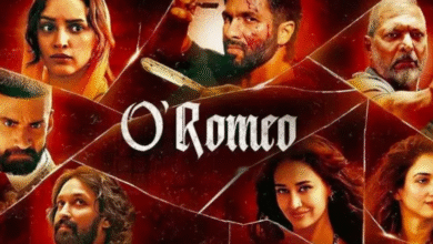 Photo of शाहिद कपूर की फिल्म ने तीन दिन के कलेक्शन से बॉक्स ऑफिस पर उड़ा दिया गर्दा