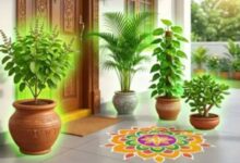 Photo of घर के मुख्य द्वार के लिए कौन-से पौधे हैं शुभ और कौन-से अशुभ?