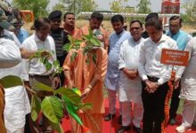 Photo of पर्यावरण दिवस आज: यूपी में एक पेड़ मां के नाम अभियान के तहत होंगे पांच करोड़ पौधरोपण