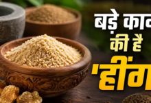 Photo of चुटकी भर ‘हींग’ के ये जादुई फायदे आपको कर देंगे हैरान