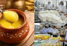 Photo of Ghee Ban : हरियाणा में घी पर बड़ा एक्शन, गैरमानक उत्पादों की बिक्री पर एक साल रोक