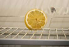 Photo of Half Lemon : आधा नींबू बच जाए तो ऐसे रखें ताजा, फ्रिज में लंबे समय तक खराब नहीं होगा