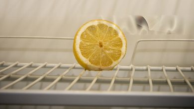 Photo of Half Lemon : आधा नींबू बच जाए तो ऐसे रखें ताजा, फ्रिज में लंबे समय तक खराब नहीं होगा