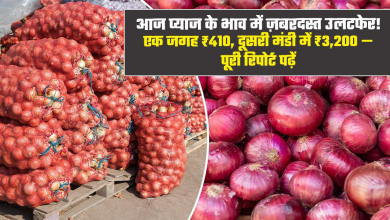 Photo of Onion Price Hike: देश की बड़ी मंडियों में प्याज के दाम 15% तक बढ़े, दिल्ली पहुंचेगी ‘कांदा एक्सप्रेस’