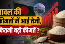 Photo of Australia Basmati Rice Row: भारत की बासमती पर ऑस्ट्रेलिया में बड़ा झटका, पाकिस्तान को मिली बढ़त