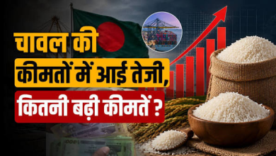 Photo of Australia Basmati Rice Row: भारत की बासमती पर ऑस्ट्रेलिया में बड़ा झटका, पाकिस्तान को मिली बढ़त