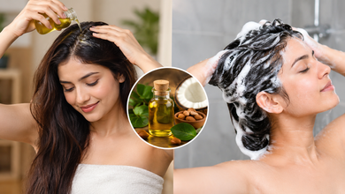 Photo of Hair Care Tips : बालों में तेल लगाने का सही समय क्या है, जानें एक्सपर्ट टिप्स