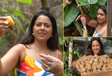 Photo of Sameera Reddy : का गोवा वाला घर, खूबसूरत गार्डन और फलों से लदे पेड़