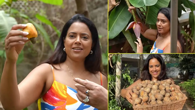 Photo of Sameera Reddy : का गोवा वाला घर, खूबसूरत गार्डन और फलों से लदे पेड़