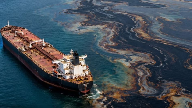 Photo of Oil Spill : ईरान युद्ध के बीच यूएई के समुद्र में तेल रिसाव, कई समुद्र तट बंद